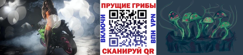 KRAKEN зеркало  Исилькуль  Галлюциногенные грибы Cubensis 